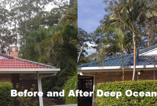 deep ocean roof