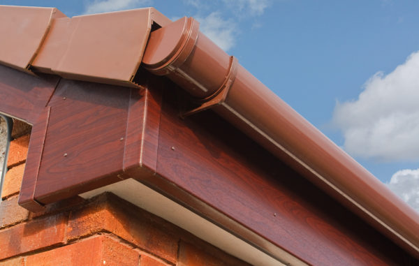 Gutter cleaning on home in Caboolture