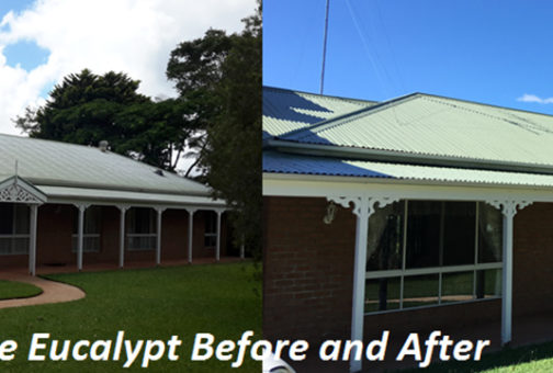roof before and after