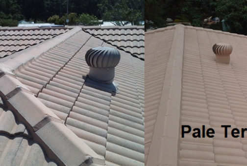 roof painting before and after