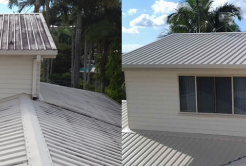 paperbark roof