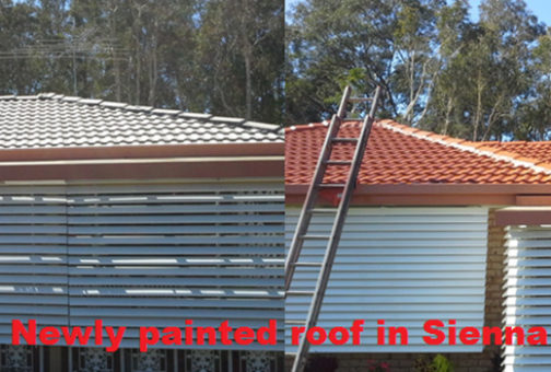 roof repair sunshine coast