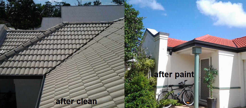 terracotta roof cleaning