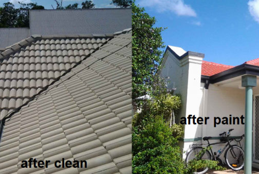 terracotta roof cleaning