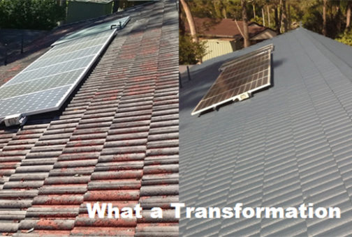 roof transformation