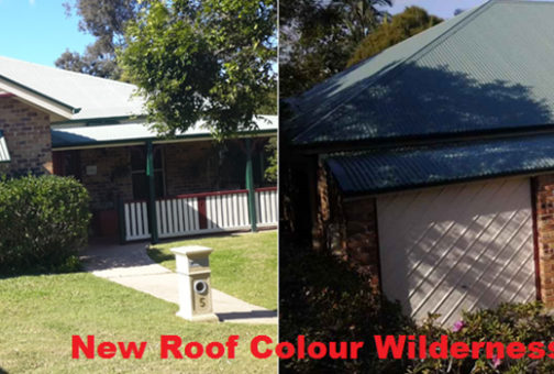 wilderness roof