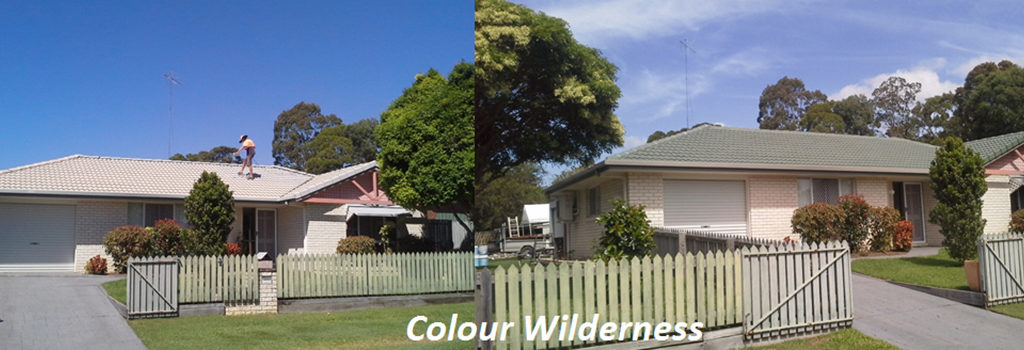 Wilderness-before-and-after
