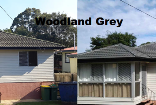 woodland grey roof