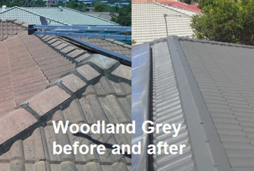 woodland grey roof