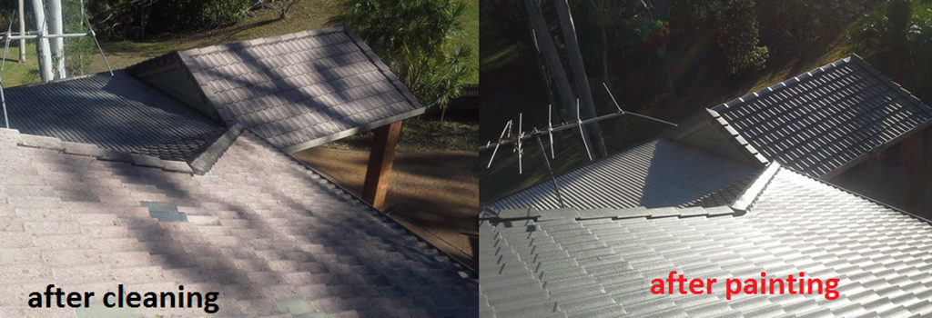 cleaned and painted roof transformation