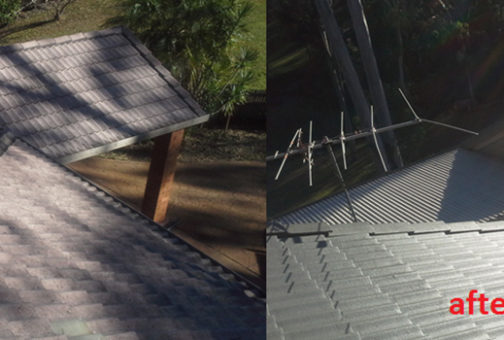 cleaned and painted roof transformation